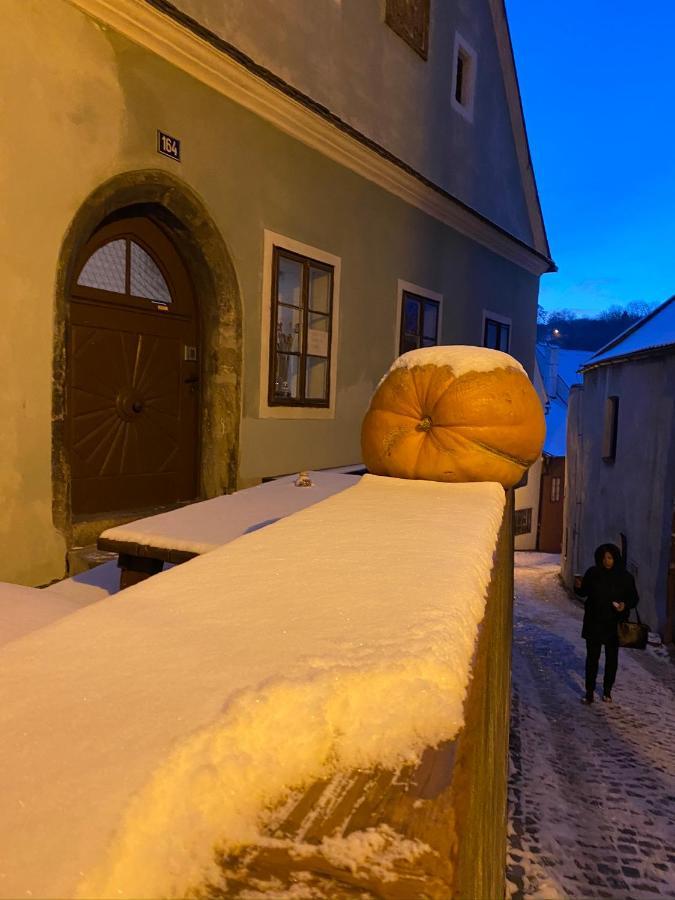 Cesky Krumlov Centrum Ap 6 Luaran gambar